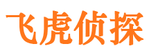 尼木市侦探调查公司